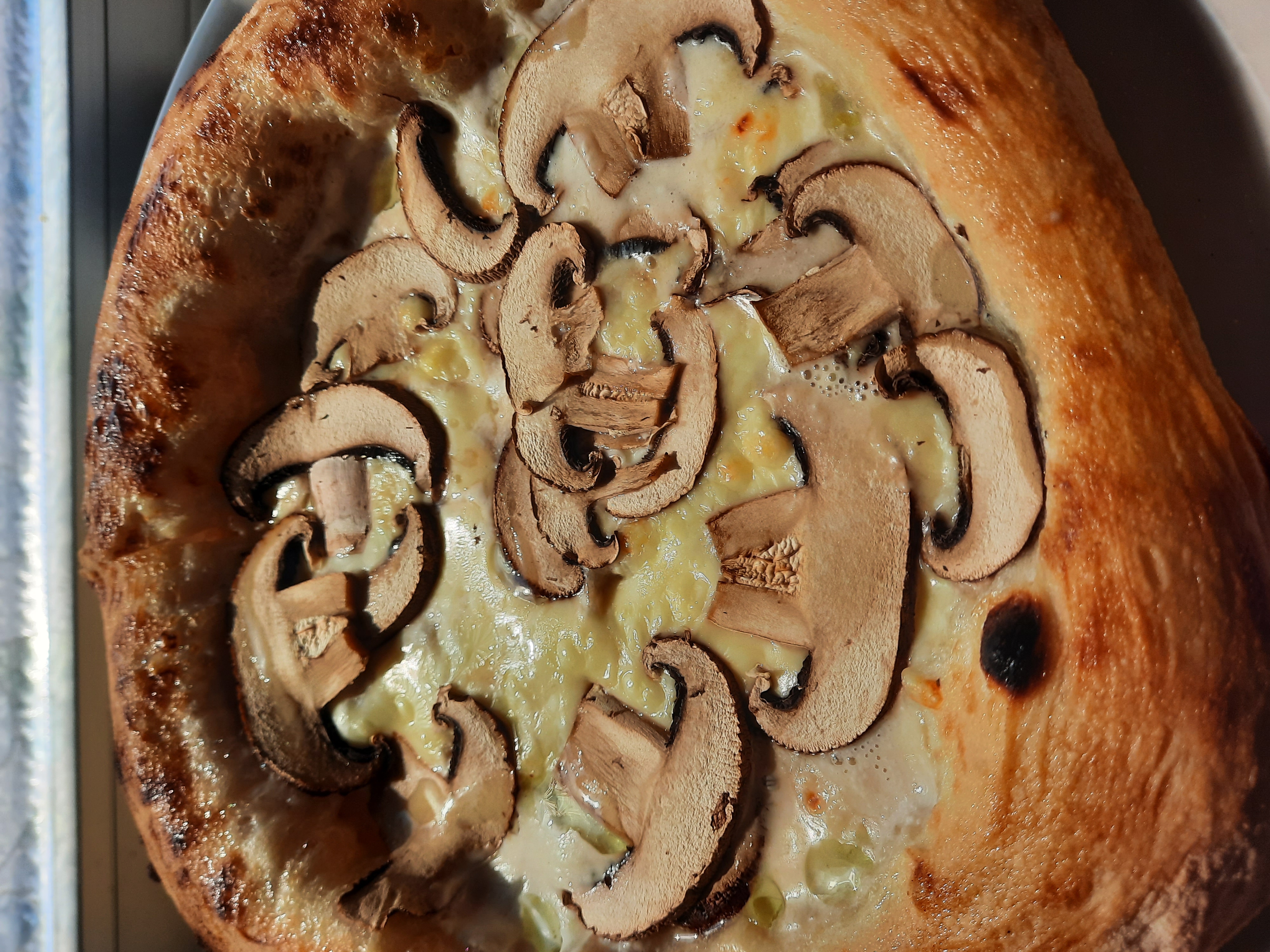 Fungi Bianca