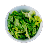 Zelena salata