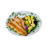 Trout Fillet